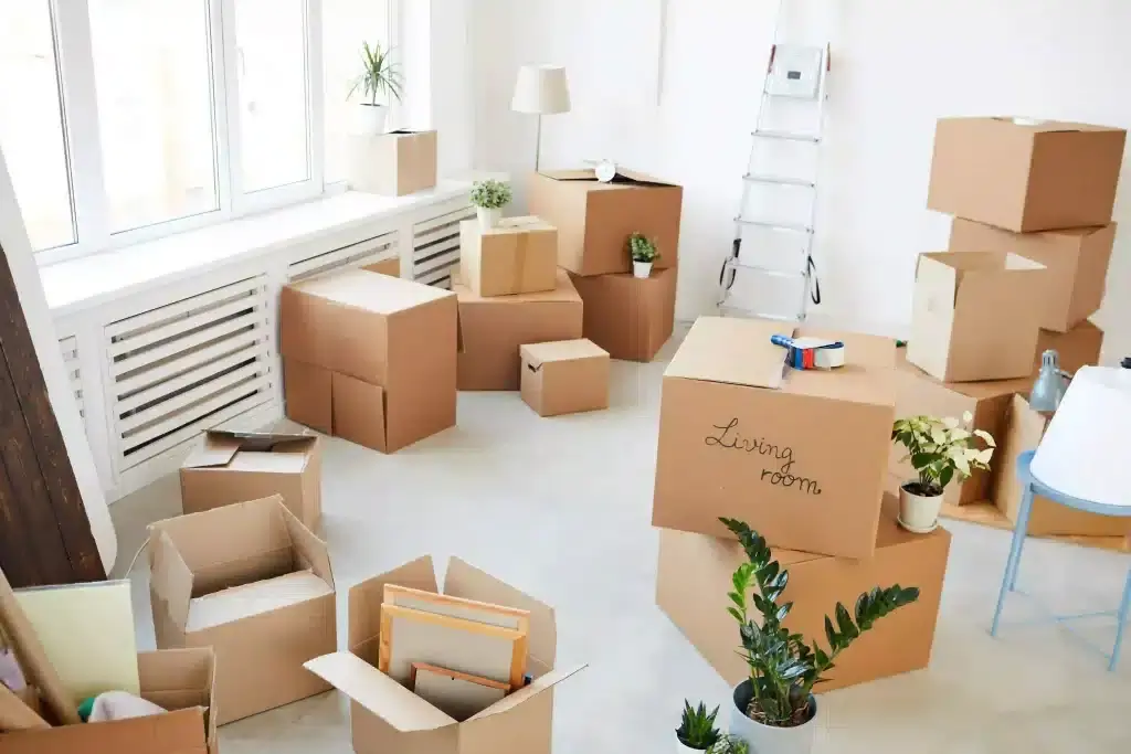 Best moving company in Ottawa - boxes